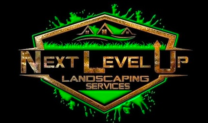 Your Web Guys – Next Level Up